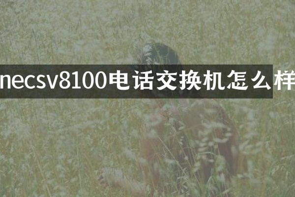 necsv8100电话交换机怎么样