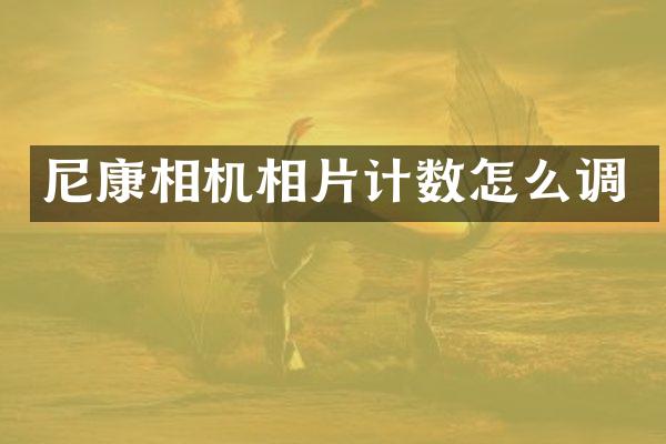 尼康相机相片计数怎么调