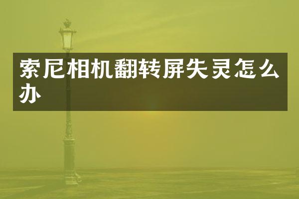索尼相机翻转屏失灵怎么办