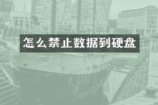 怎么禁止数据到硬盘