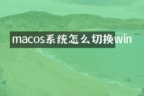 macos系统怎么切换win
