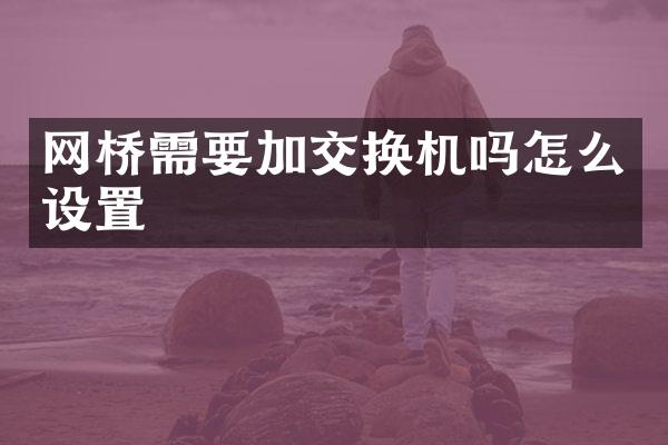 网桥需要加交换机吗怎么设置