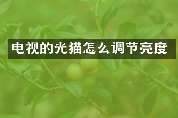电视的光猫怎么调节亮度