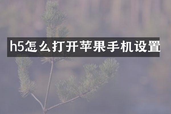 h5怎么打开苹果手机设置