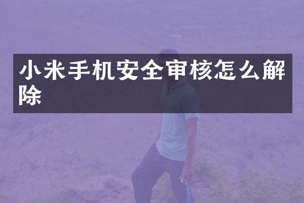 小米手机安全审核怎么解除