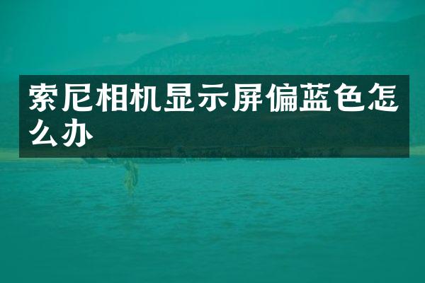 索尼相机显示屏偏蓝色怎么办