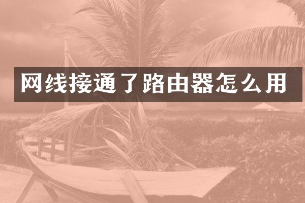 网线接通了路由器怎么用