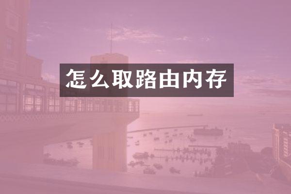 怎么取路由内存