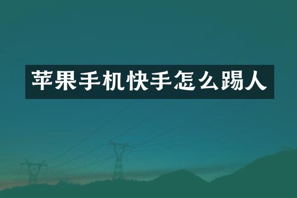 苹果手机快手怎么踢人