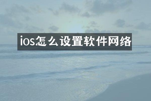 ios怎么设置软件网络