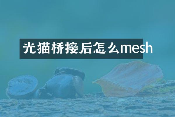 光猫桥接后怎么mesh