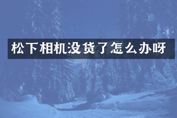 松下相机没货了怎么办呀