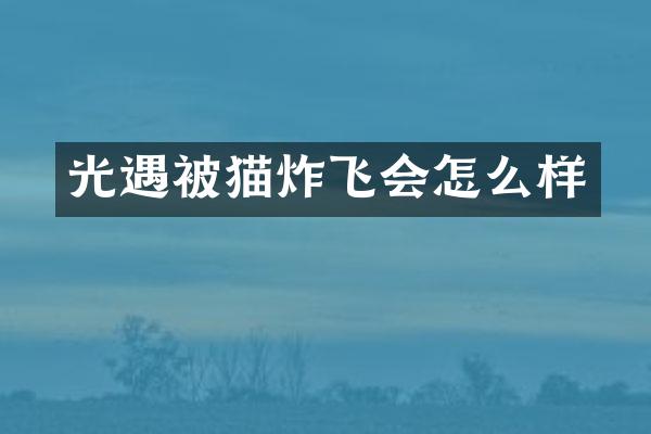 光遇被猫炸飞会怎么样