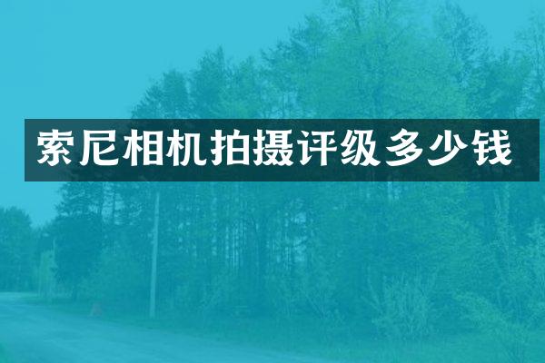 索尼相机拍摄评级多少钱