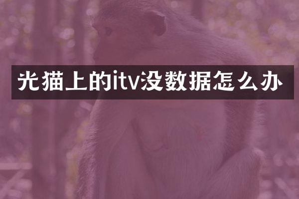 光猫上的itv没数据怎么办