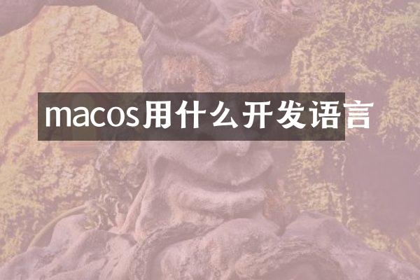 macos用什么开发语言
