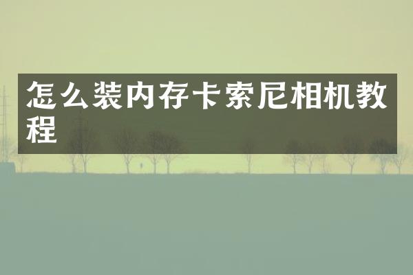 怎么装内存卡索尼相机教程