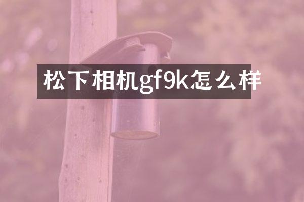 松下相机gf9k怎么样