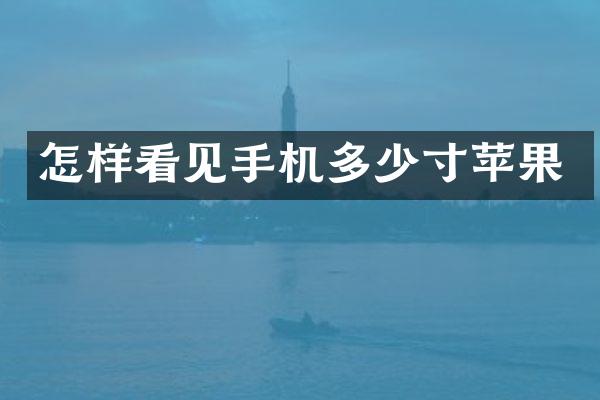 怎样看见手机多少寸苹果