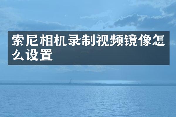 索尼相机录制视频镜像怎么设置