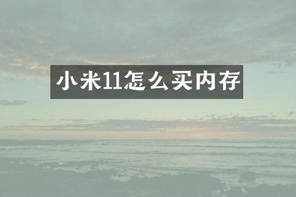 小米11怎么买内存