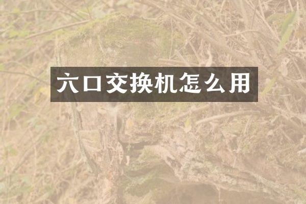 六口交换机怎么用