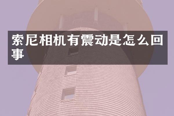 相机有震动是怎么回事