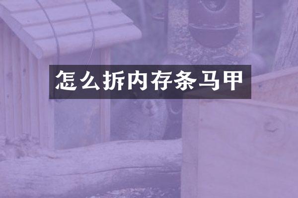 怎么拆内存条马甲