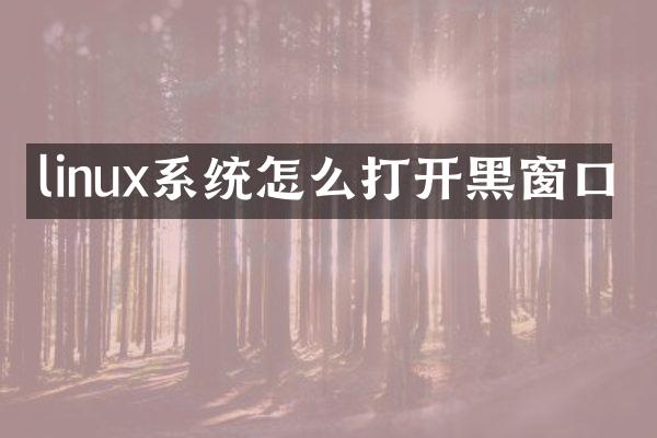 linux系统怎么打开黑窗口