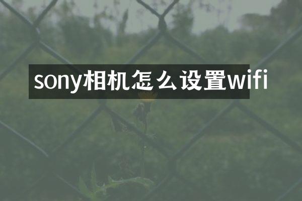 sony相机怎么设置wifi