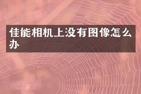佳能相机上没有图像怎么办