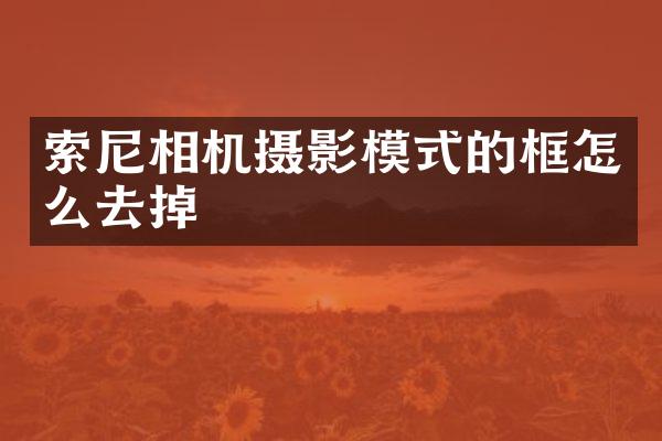 索尼相机摄影模式的框怎么去掉