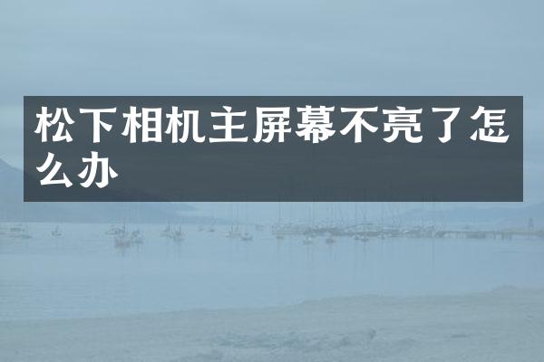松下相机主屏幕不亮了怎么办
