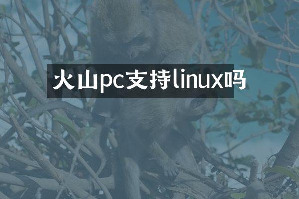 火山pc支持linux吗
