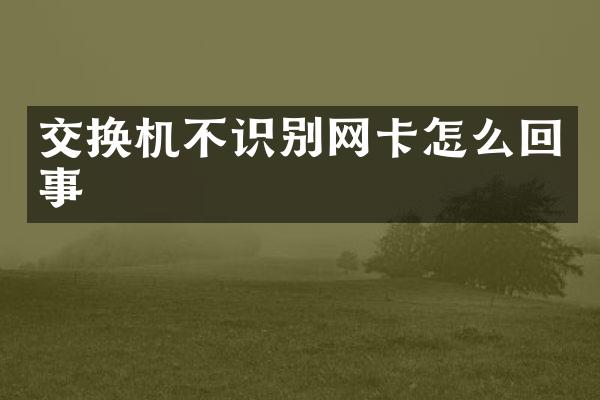 交换机不识别网卡怎么回事