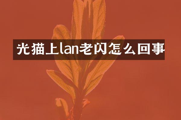 光猫上lan老闪怎么回事
