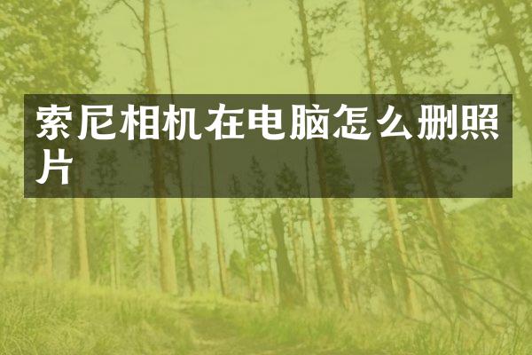 索尼相机在电脑怎么删照片