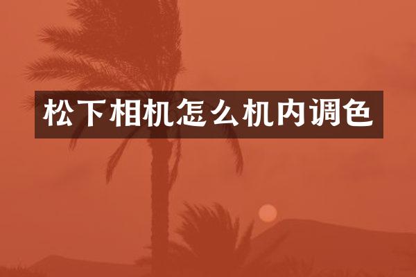 松下相机怎么机内调色