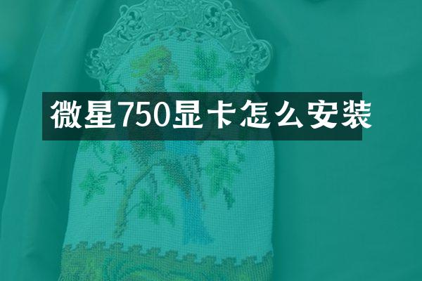 微星750显卡怎么安装