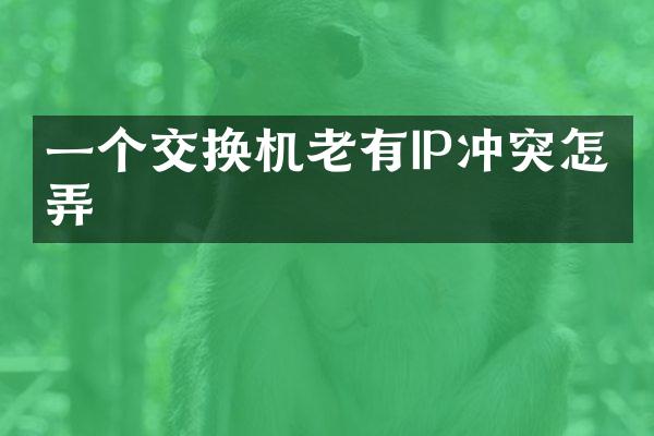 一个交换机老有IP冲突怎么弄