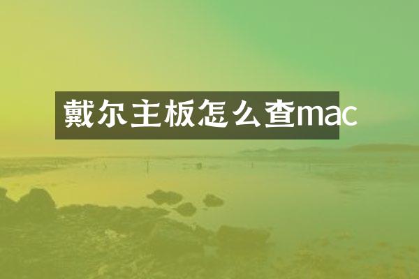 戴尔主板怎么查mac