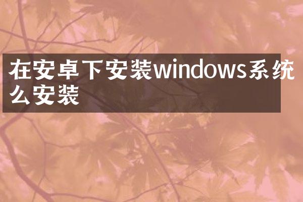 在安卓下安装windows系统怎么安装