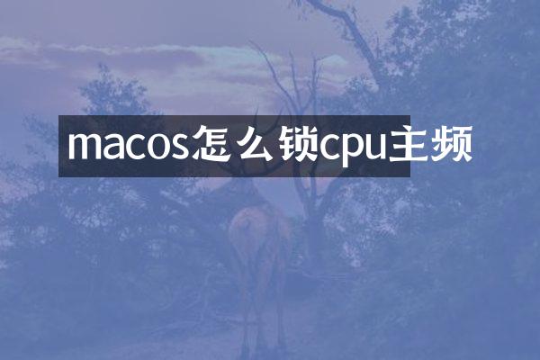 macos怎么锁cpu主频