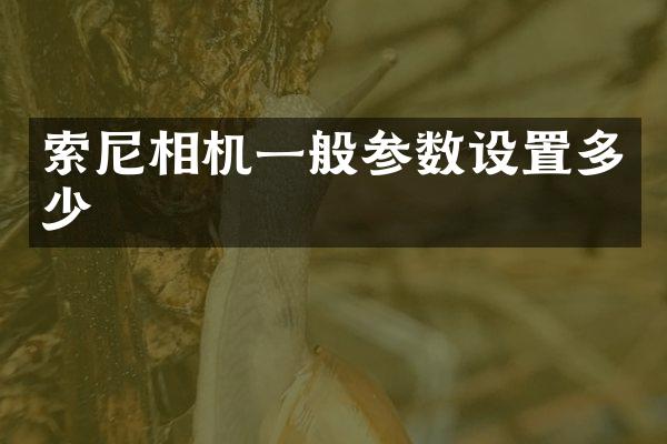 索尼相机一般参数设置多少