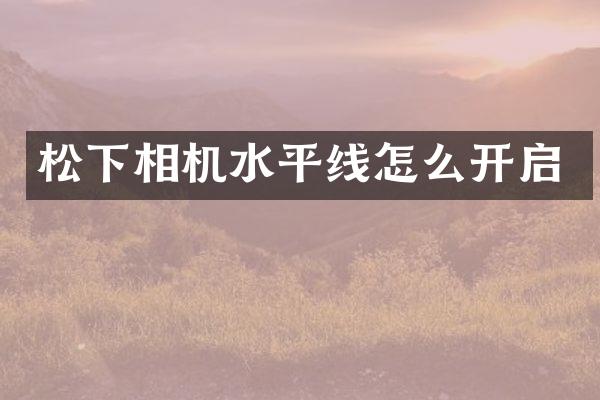 松下相机水平线怎么开启