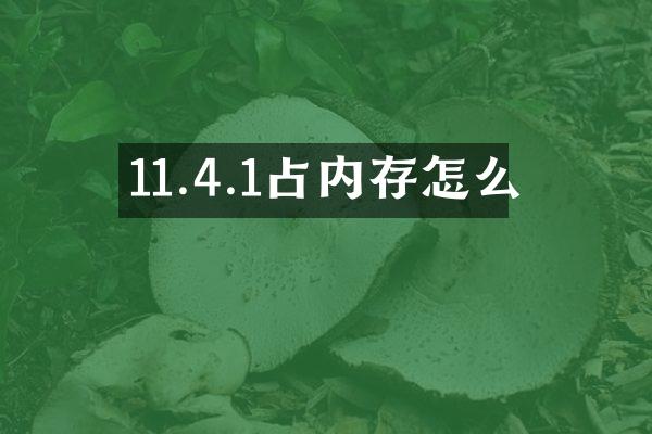 11.4.1占内存怎么