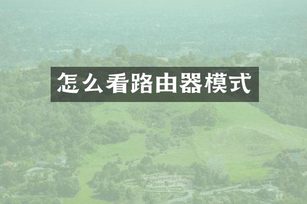 怎么看路由器模式