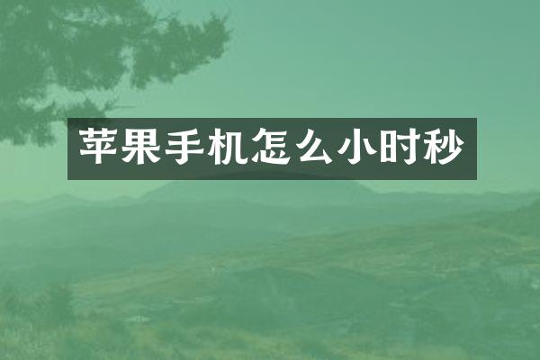 苹果手机怎么小时秒