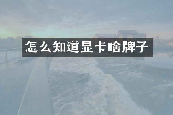 怎么知道显卡啥牌子