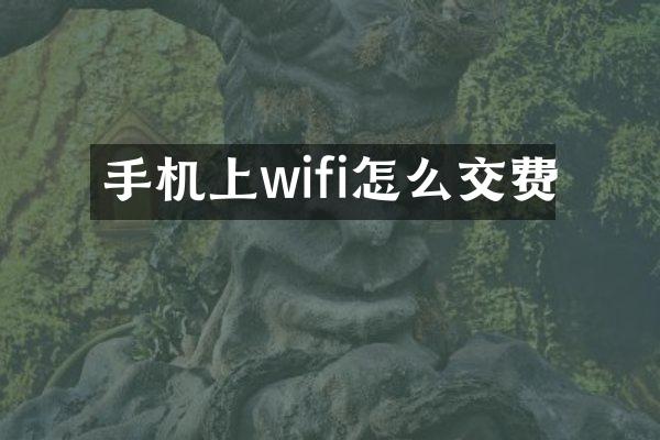 手机上wifi怎么交费